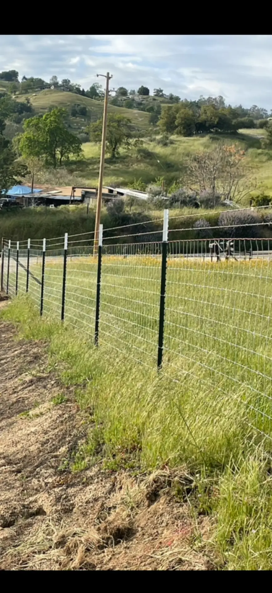Chain Link Fencing