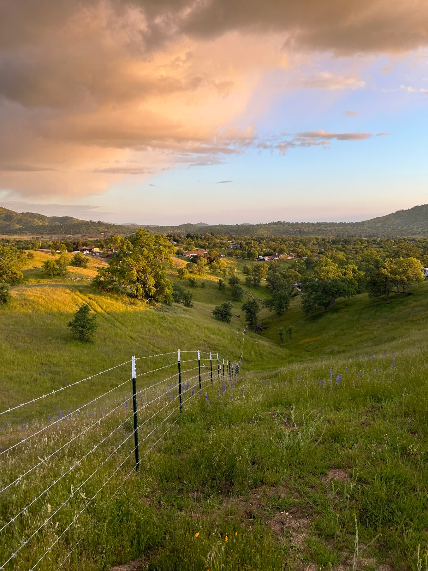Agricultural Fencing